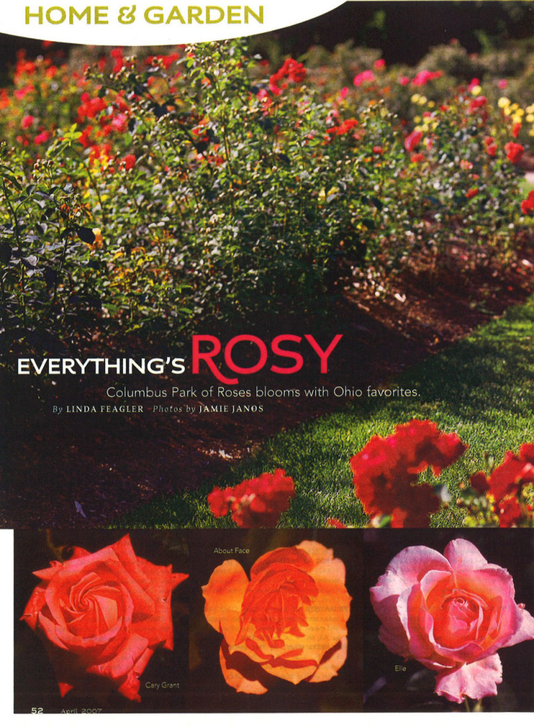 Everything's-Rosy-2-960