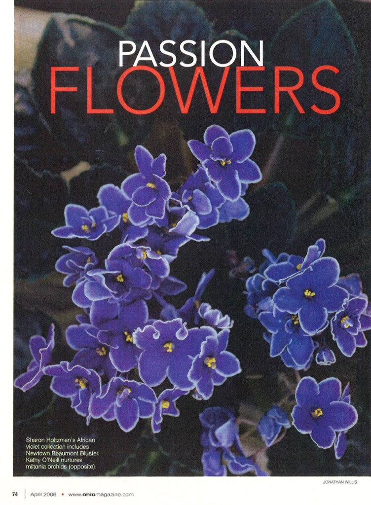 Passion-Flowers-2-960